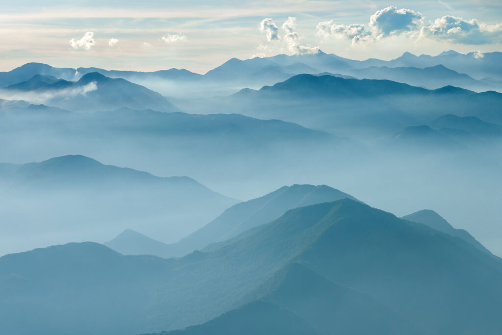 Dragoljub Zamurović