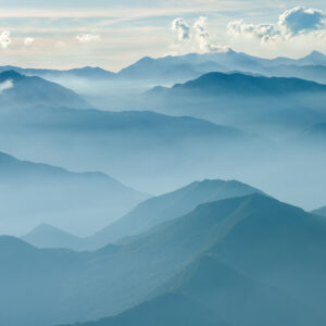 Dragoljub Zamurović