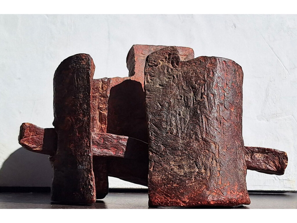 213_Sandra-Kovandžić---Tomić_BEDEMI-II