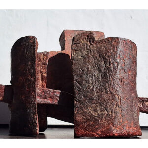 213_Sandra-Kovandžić---Tomić_BEDEMI-II