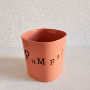 246c3_Jasmina Pejcic_Šolja-boja-kajsija_Pumpaj