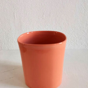 246c2_Jasmina Pejcic_Šolja-boja-kajsija_normal