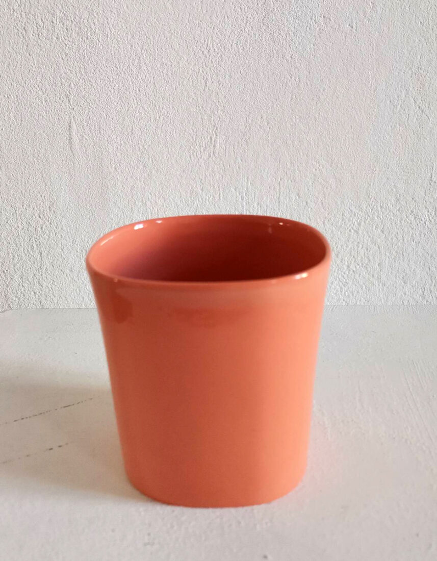 246c2_Jasmina Pejcic_Šolja-boja-kajsija_normal