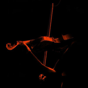 257_Petar-Zorkić_Violina