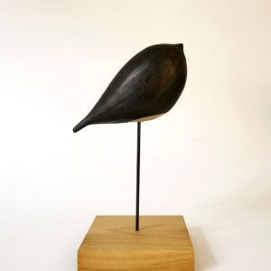 258_Ana-Jakic-Jevtovic_Ptica