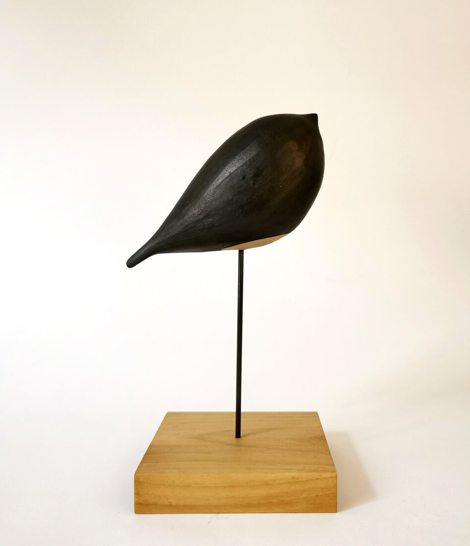 258_Ana-Jakic-Jevtovic_Ptica