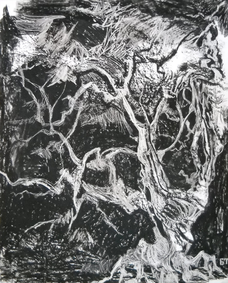 305_Borjan Tomić_Stablo